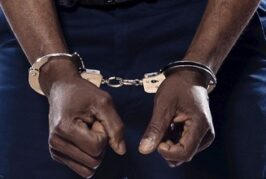 Nigerian Phd Student Pleads Guilty To Fraud In US