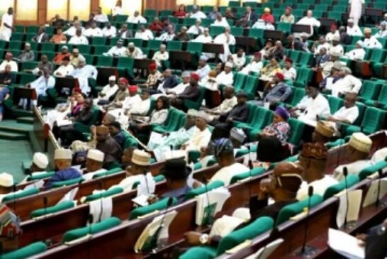 Reps Urge FG To Establish More NYSC Camps