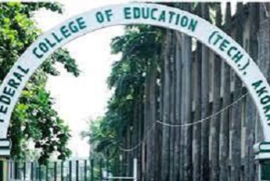 NANS Decries Leadership Crisis At Lagos College, Demands FG’s Action