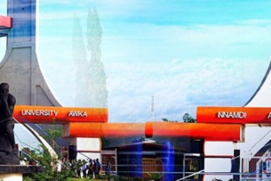 FG Confirms Arinze-Umobi As Acting UNIZIK VC