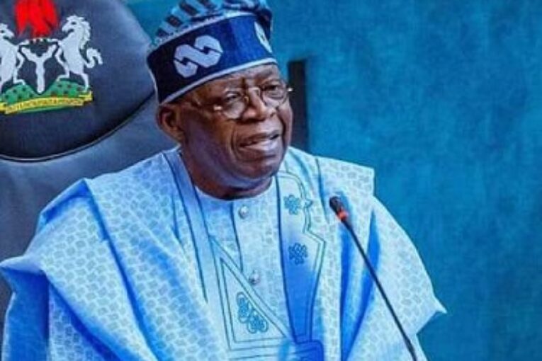 Tinubu Appoints New Governing Councils For UNIABUJA, UNN, NAU
