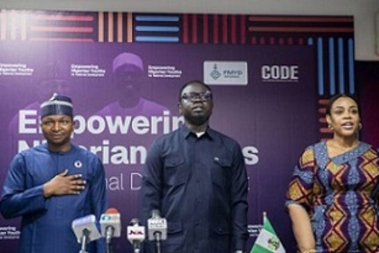 From Japa To Jobs: Minister, Activist Push For Urgent Youth Financing