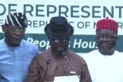 2025 UTME: Reps Committee Apologises To Nigerians Over Result Errors