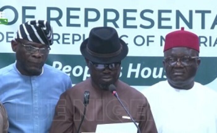 2025 UTME: Reps Committee Apologises To Nigerians Over Result Errors