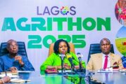 Lagos To Support Agric Entrepreneurs With N150m Grant
