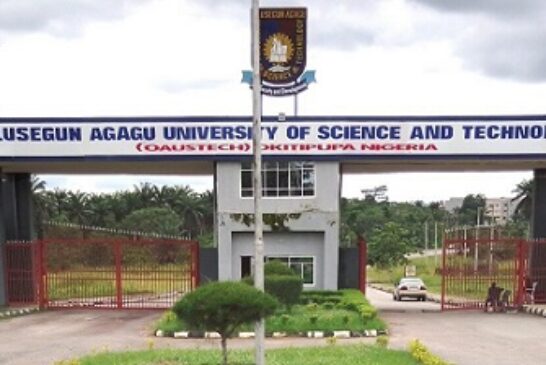 OAUSTECH, South African Varsity Partner On Agric Studies