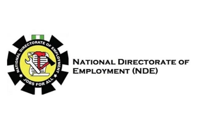 NDE Opens Portal For Vocational Training Of 27,000 Unemployed Nigerians