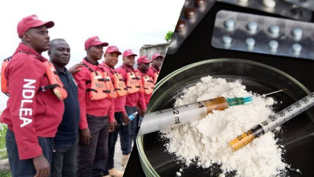 FG Makes Drug Tests Mandatory for Varsity, Poly Students