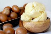 What Nigeria’s Shea Nut Ban Means For Your Skincare Routine