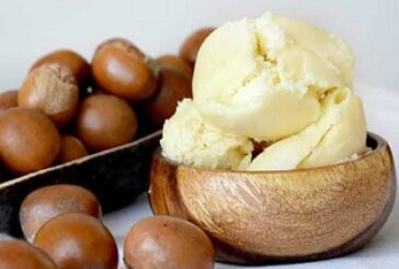 What Nigeria’s Shea Nut Ban Means For Your Skincare Routine