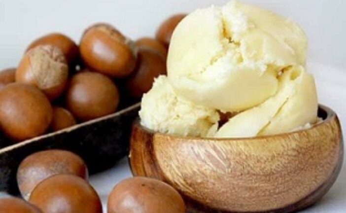 What Nigeria’s Shea Nut Ban Means For Your Skincare Routine