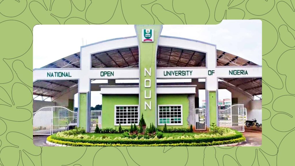 The 6 Best Online Universities in Nigeria for Busy People Who Still Want That Degree