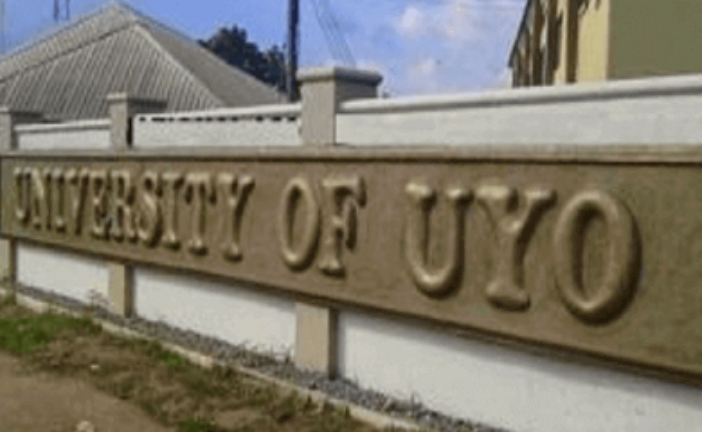 UNIUYO Wins British Council-Funded Grant To Boost Digital Skills