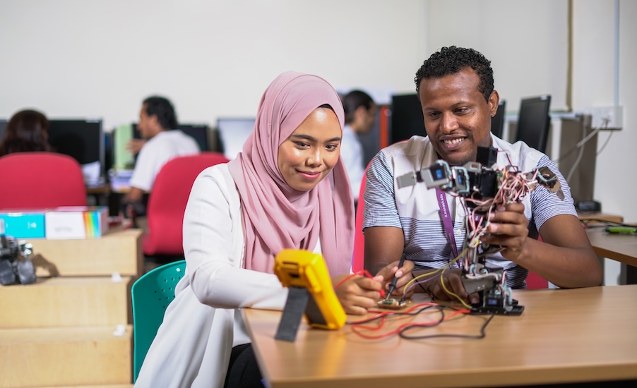 Computer Science vs. Software Engineering: Understanding the key differences