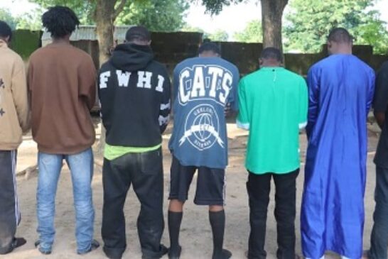 Police Arrest Seven Over Niger Varsity Student’s Death