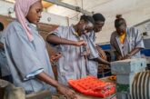 Fed Govt Opens Vocational Training For 41,307 Youths