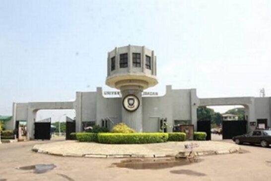 Nigeria Dominates Sub-Saharan Africa In 2026 University Rankings With 24 Institutions