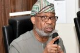 Schools Charging Tuition Fees In Foreign Currencies Should Be Closed – Alake