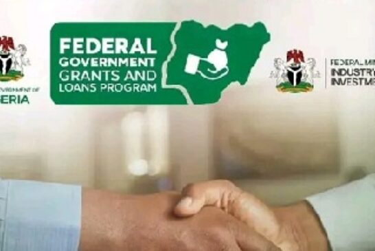 Apply Now: 5 Life-Changing Federal Grants Open To Nigerians