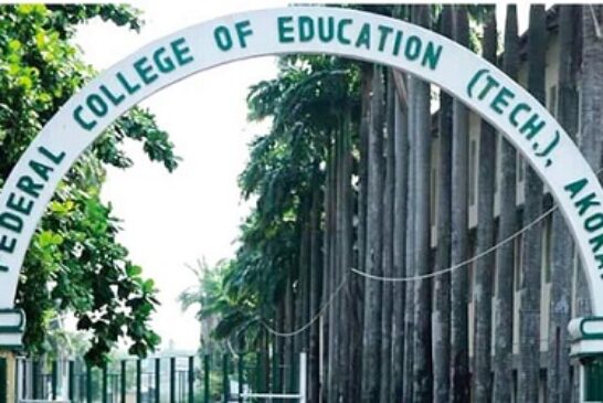 NANS Urges Minister To Release Panel Report On Lagos College