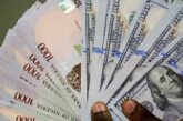 Overseas Study Weakening Naira – Don