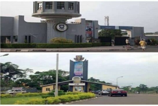 These 7 Federal Universities Let You Study And Earn Your Degree From Home