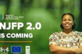 FG To Pay Youths For 1 Year: Here’s Everything You Need To Know About The Fellowship Programme