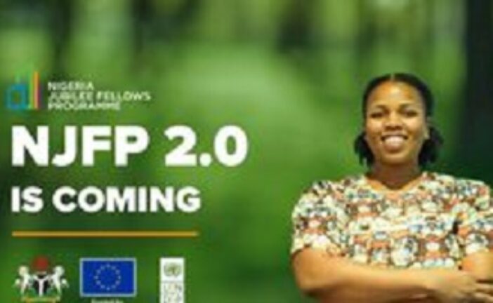 FG To Pay Youths For 1 Year: Here’s Everything You Need To Know About The Fellowship Programme