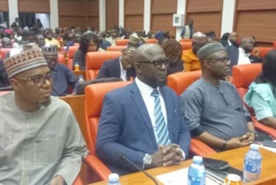 NASS Urged To Strengthen Digital Economy Bill To Promote Inclusion, AI Ethics