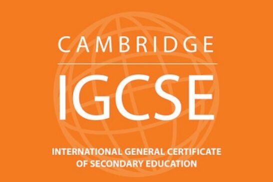 16-Year-Old Nigerian Emerges Top In IGCSE English