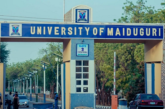 205 Bag First Class As UNIMAID Graduates 20,164 Students