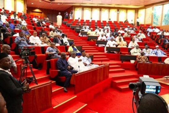 Senate Raises Alarm Over Sudden Waec Curriculum Shift, Summons Education Minister