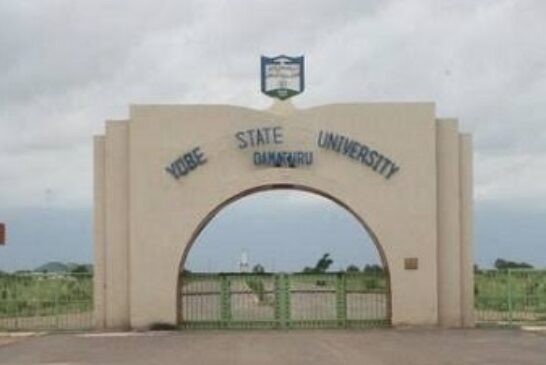 Yobe Varsity Gets New VC, Registrar