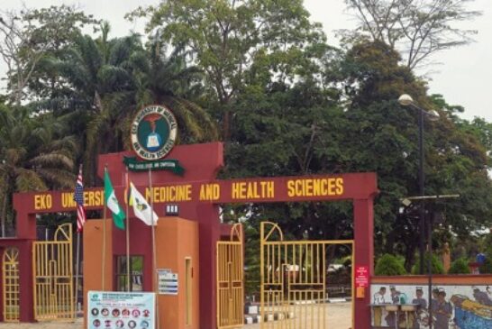 EKOUNIMED Graduates Pioneer Students As Fashola Delivers 1st Convocation Lecture