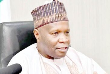 Gombe Gov Restates Commitment To Global Education Partnership