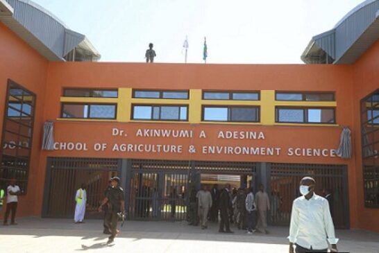 The Gambia Varsity Renames Faculty After Ex-Afdb President Adesina