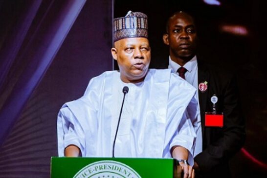 No Investment In Education Is A Gamble — Shettima