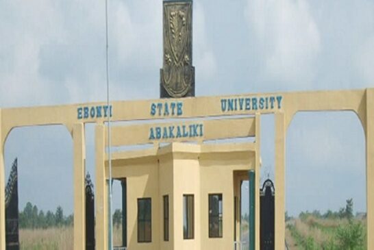 Ebonyi Varsity To Withdraw 72 Medlab Students Over Poor Results, 10 Placed On Probation