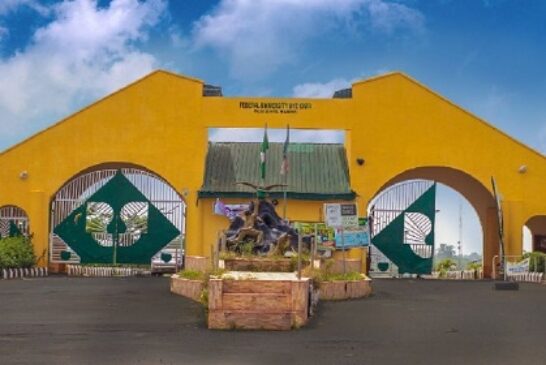 131 Students Bag First-Class Degrees As FUOYE Graduates 7,396