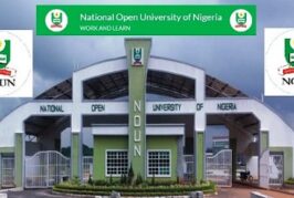 AI Threatening Effective Learning In Universities – Ex-NOUN VC