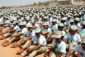 NYSC Mobilisation Delay: A Growing Concern For Graduates