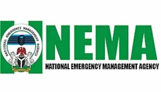 NEMA Unveils N3m Essay Contest For Students, Corps Members