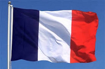 France Suspends Stun Grenade Use After Student Loses Hand