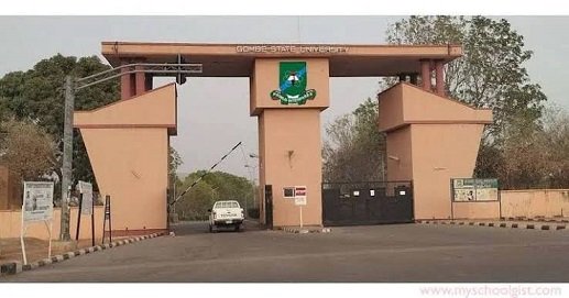 Gombe Varsity Has No Formal Reports Of Sexual Harassment – Director
