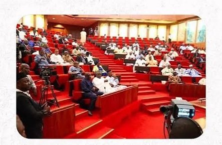 Senate Orders Probe Into Corps Member’s Death At Enugu NYSC Camp